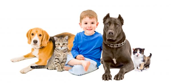 Fayetteville Pets