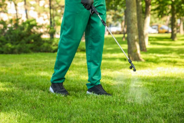 Fayetteville Lawn Treatment