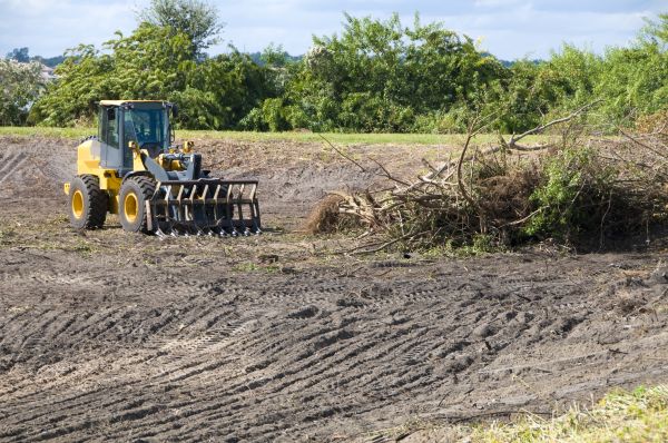 Fayetteville Land Clearing
