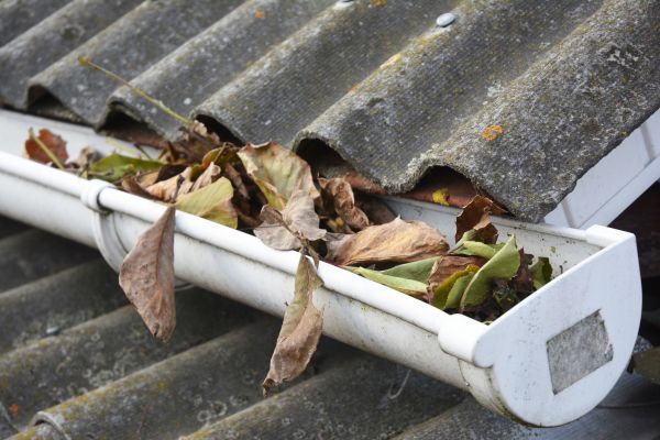 Fayetteville Gutter Cleaning
